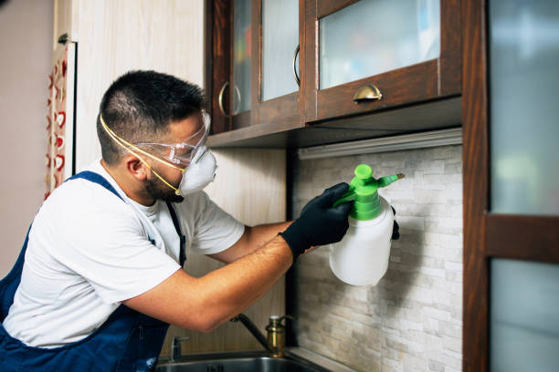 Best Pest Removal Services  in Marshall, WI