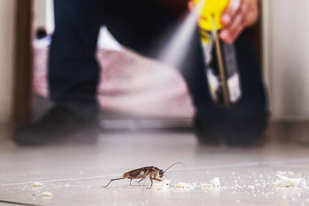 Best Emergency Pest Control  in Marshall, WI