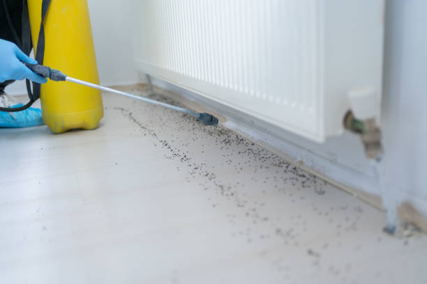 Best Mosquito Control Services  in Marshall, WI