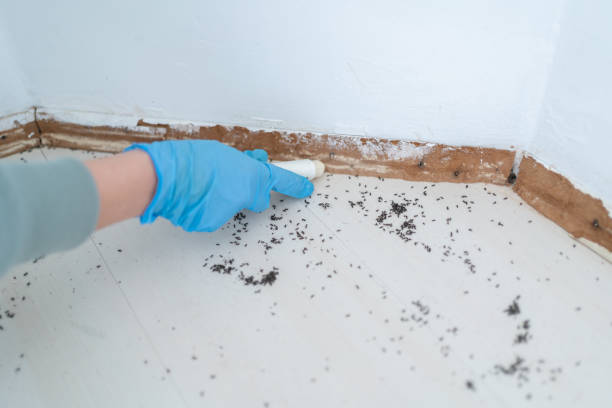 Best Pest Control Near Me in Marshall, WI